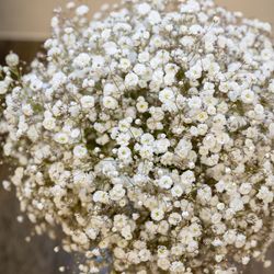 アプローズスクエア 名古屋迎賓館の写真27枚目