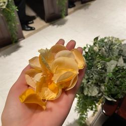 アーヴェリール迎賓館 名古屋の写真18枚目