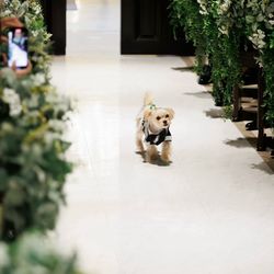 アーヴェリール迎賓館 名古屋の写真7枚目