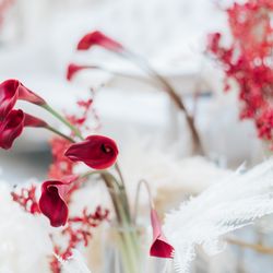 アニヴェルセル 江坂の写真15枚目