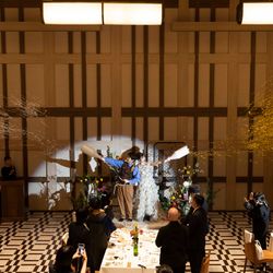 アコールハーブの写真32枚目