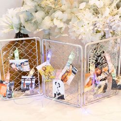 アコールハーブの写真13枚目