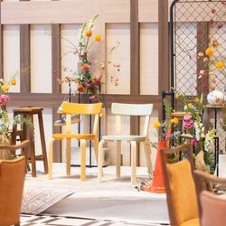 アコールハーブの写真23枚目