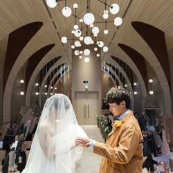 アコールハーブの写真32枚目