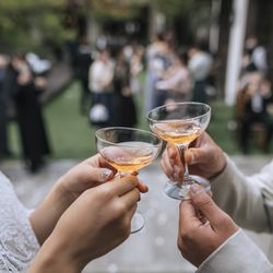 マキシマニスの写真19枚目