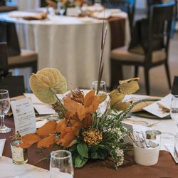 マキシマニスの写真14枚目