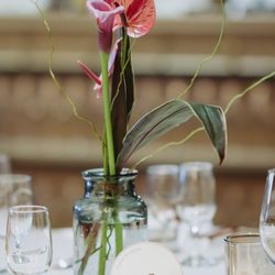 ザ・コンダーハウスの写真25枚目