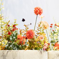 TRUNK HOTELの写真5枚目