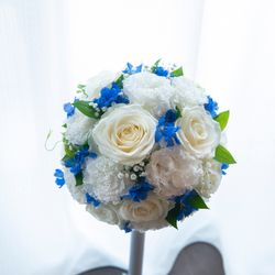 カノビアーノ 福岡の写真12枚目