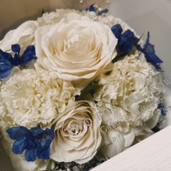 カノビアーノ 福岡の写真3枚目