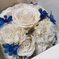 カノビアーノ 福岡の写真13枚目