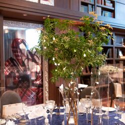 カノビアーノ 福岡の写真26枚目