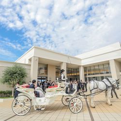 ノートルダムマリノアの写真6枚目