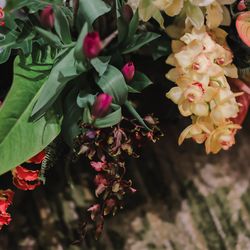 TIAD, オートグラフ コレクションの写真31枚目