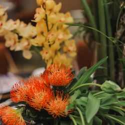 TIAD, オートグラフ コレクションの写真9枚目