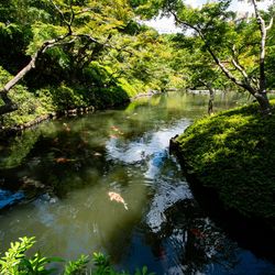 八芳園の写真26枚目