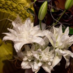 オリエンタルホテル 神戸・旧居留地の写真13枚目