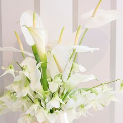 ララシャンス岡崎迎賓館の写真17枚目