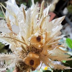 アマンダンテラスの写真3枚目