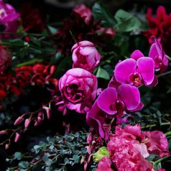 グランド ハイアット 東京の写真24枚目