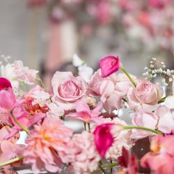 東京會舘の写真33枚目