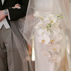 Mia Viaの写真6枚目