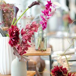 Mia Viaの写真36枚目