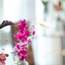 Mia Viaの写真6枚目