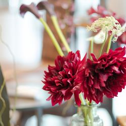 Mia Viaの写真32枚目