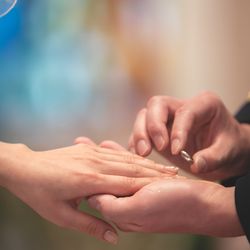 アルタビスタ ガーデンの写真4枚目