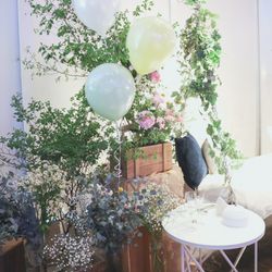 宮の森フランセス教会の写真29枚目