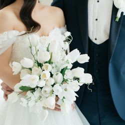 アルジェントの写真26枚目