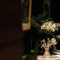 アルジェントの写真16枚目