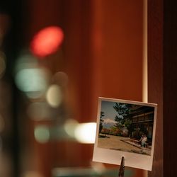 アルジェントの写真18枚目