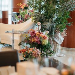 アルジェントの写真24枚目