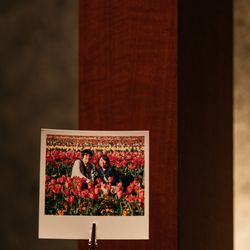 アルジェントの写真28枚目