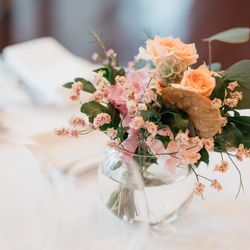 アルジェントの写真26枚目