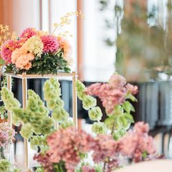 アルジェントの写真36枚目