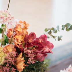 アルジェントの写真1枚目