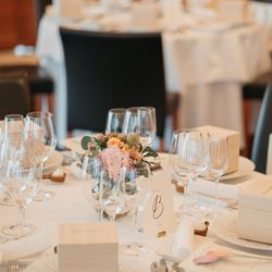 アルジェントの写真7枚目