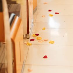 アルジェントの写真25枚目