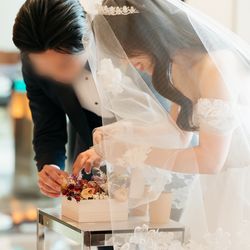 アルジェントの写真31枚目