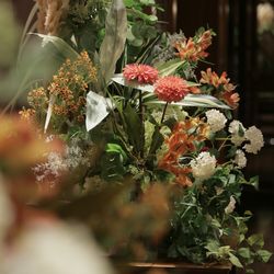 アルタビスタ ガーデンの写真11枚目