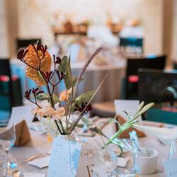 マキシマニスの写真16枚目