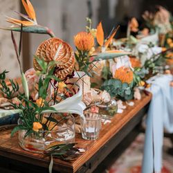 マキシマニスの写真5枚目