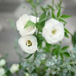 TRUNK HOTELの写真27枚目