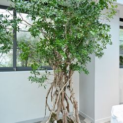 TRUNK HOTELの写真24枚目