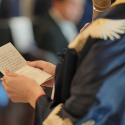 アルジェントの写真31枚目