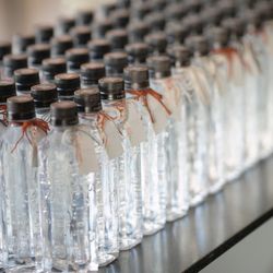 アルジェントの写真22枚目