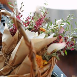 アルジェントの写真34枚目